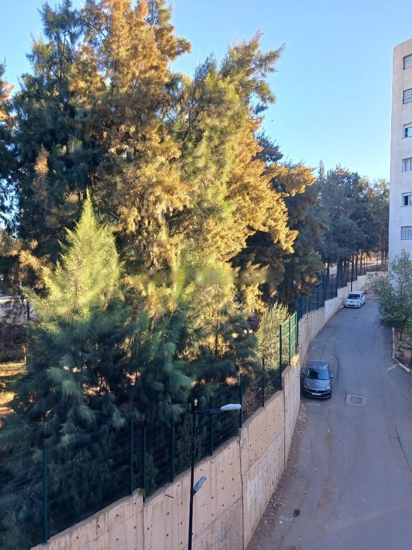 Location Appartement F3 Souidania