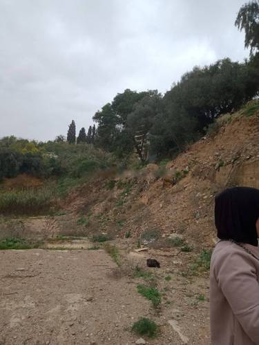 Vente Terrain Bouzareah