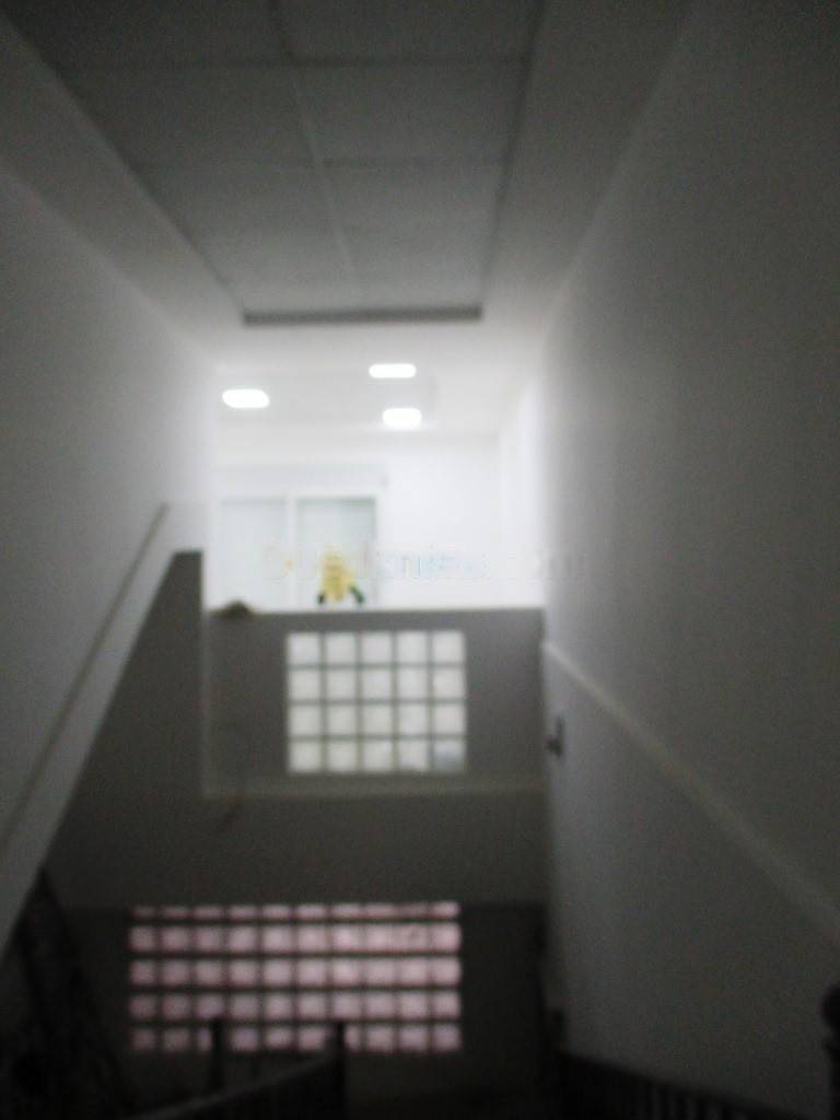 Location Immeuble El Mouradia