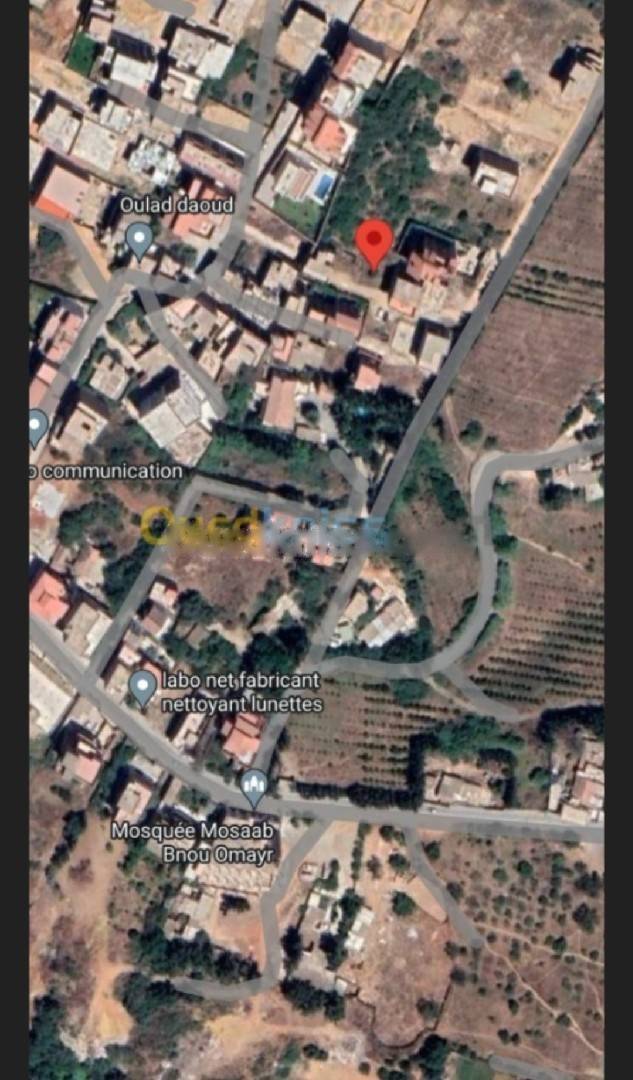 Vente Terrain Saoula