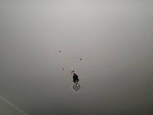 Location Appartement F3 Draria