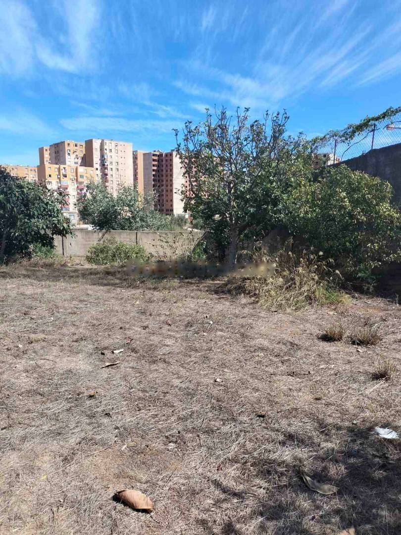 Vente Terrain Draria