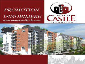 Immo Castle Promotion 
