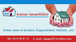 Amine Immobilier