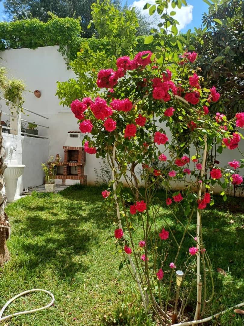 Villa à vendre