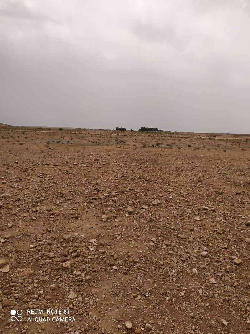 Terrain à de 13 HECTARES à vendre – Hassi Fedoul, Wilaya de Djelfa
