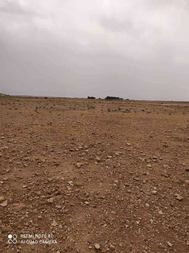Terrain à de 13 HECTARES à vendre – Hassi Fedoul, Wilaya de Djelfa