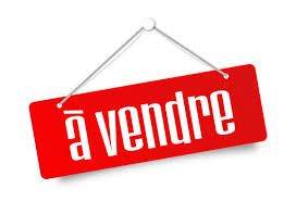 Vend Terrain el biar