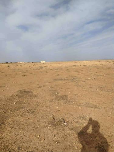 Terrain à de 13 HECTARES à vendre – Hassi Fedoul, Wilaya de Djelfa
