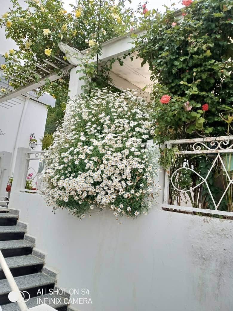 Villa à vendre