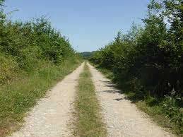Terrain Agricole ( Ferme)