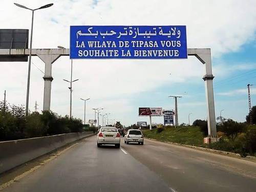 A Vendre une Ferme Agricole à Tipaza 