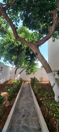 Loue appartement Birkhadem 