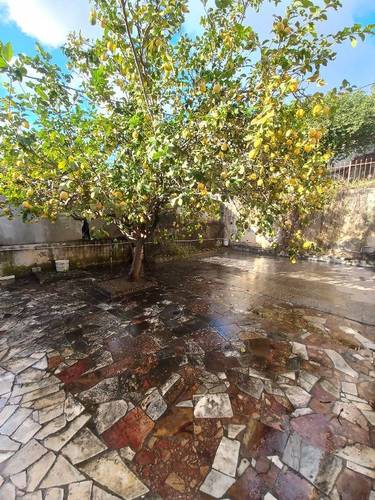 Loue villa ELBIAR POIRSON 