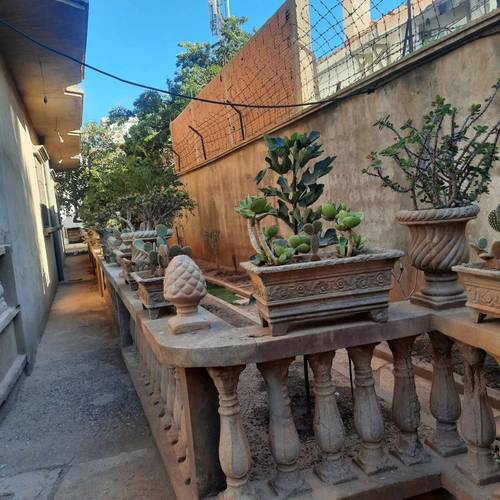 Salaheddine Boucebha