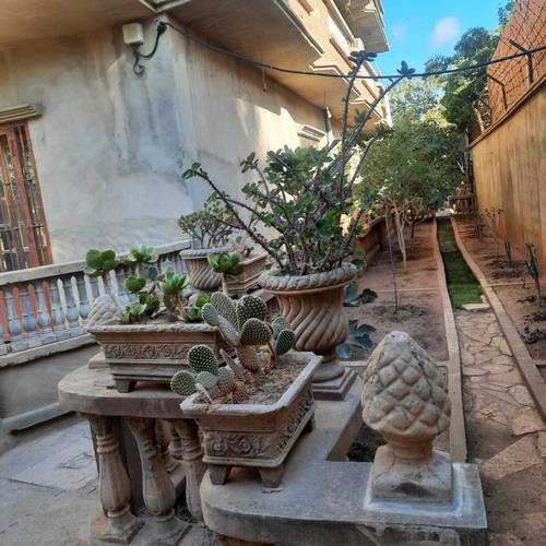 Salaheddine Boucebha