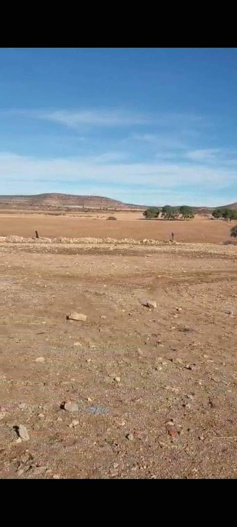 Grand terrain agricole acté 248 hectares à vendre à sidi belabess 
