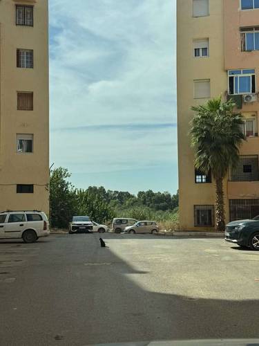 VENTE F3 A SOUIDANIA 