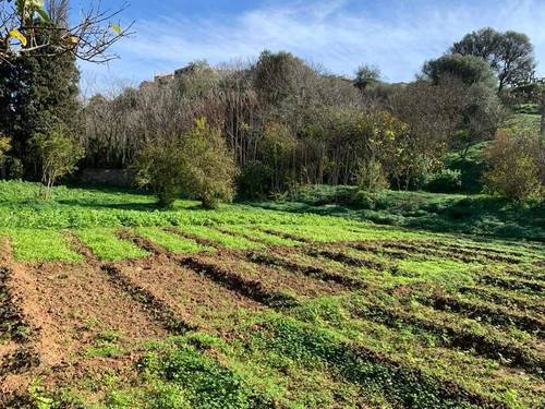 Terrain constructibel