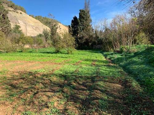 Terrain constructibe Ghazaouet