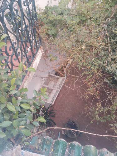 Villa Alger traditionnelle et authentique / فيلا جزائرية تقليدية وأصيلة